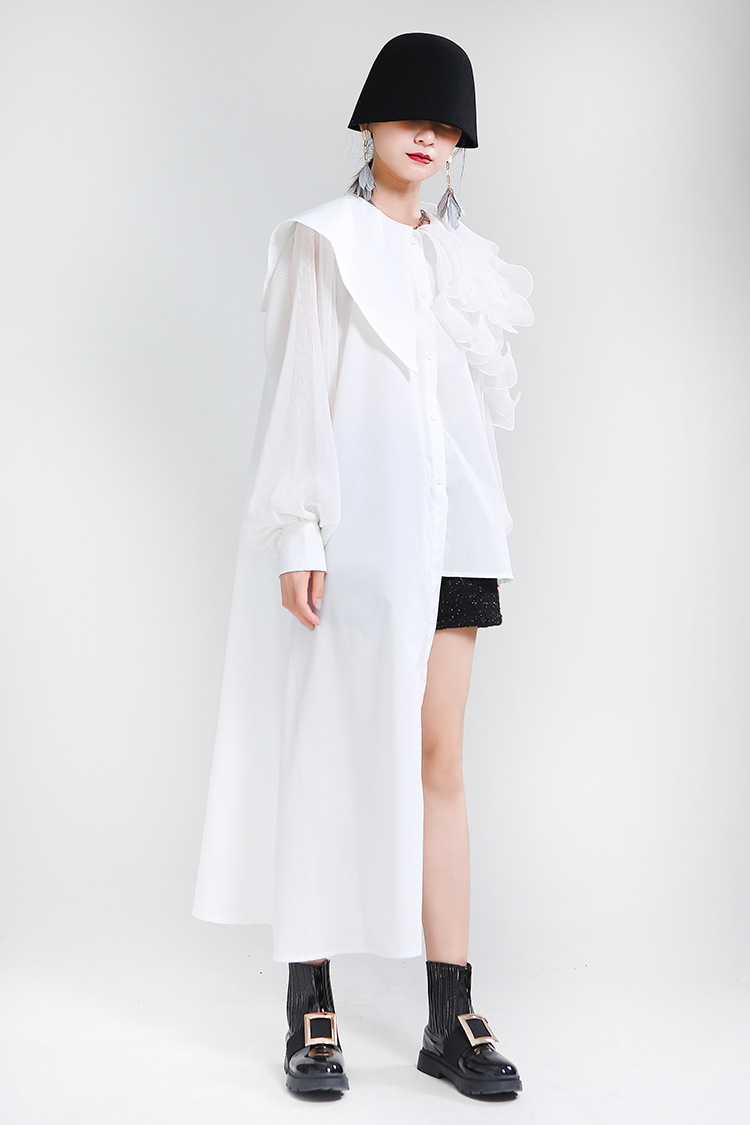 Asymmetry Organdie Long Sleeve Shirt