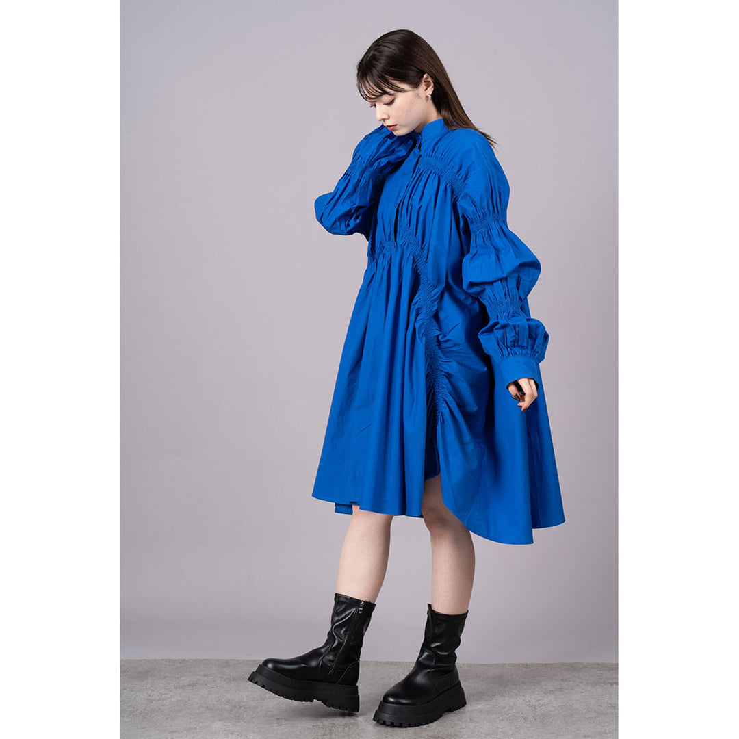 Shirring Virago Sleeve Onepiece