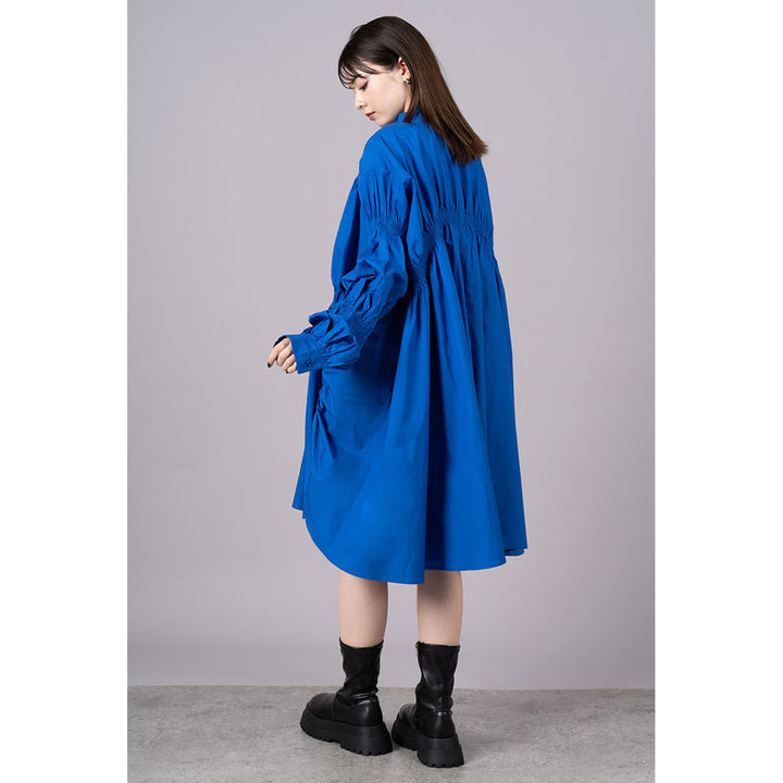 Shirring Virago Sleeve Onepiece