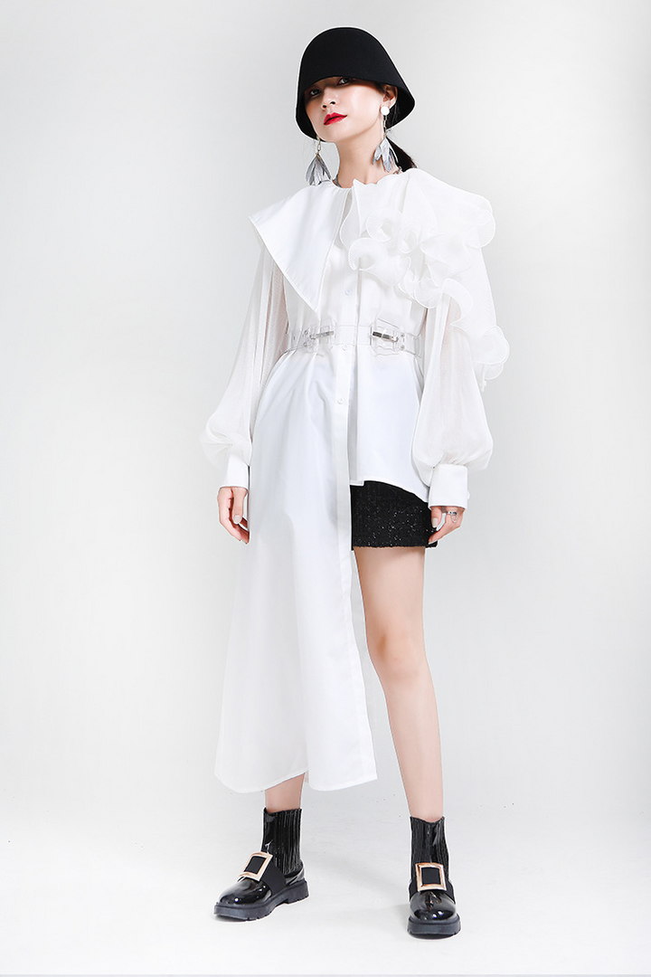 Asymmetry Organdie Long Sleeve Shirt